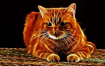 Abstract, Cat, Muzzle, Fat, Thick, Wool HD wallpaper