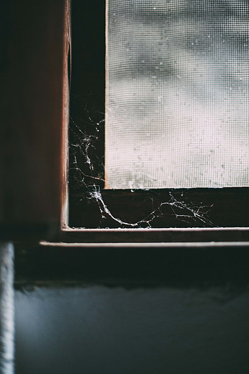 Web, Macro, Dark, Old, Window, Abandoned HD phone wallpaper
