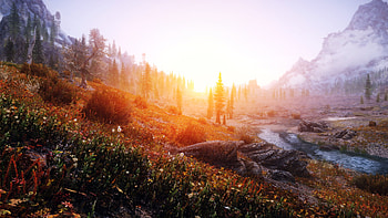 Sunset on the Plains, sunset, The Elder Scrolls V: Skyrim, video game HD wallpaper