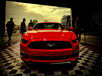Ford, Mustang, Cars, Front View HD wallpaper