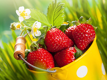 Strawberries, basket, fresh fruits HD wallpaper