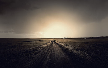 Nature, Sky, Autumn, Horizon, Road, Path, Mud, Dirt, Way, Unknown, Obscurity HD wallpaper