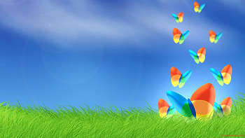 HP Windows 10 - afari HD wallpaper