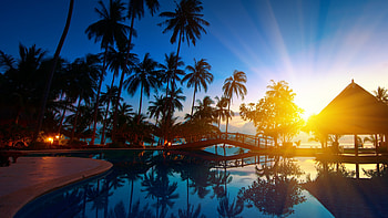 ... Background Ultra . sunrise, thailand, paradise, trees, sea water, palm trees HD wallpaper