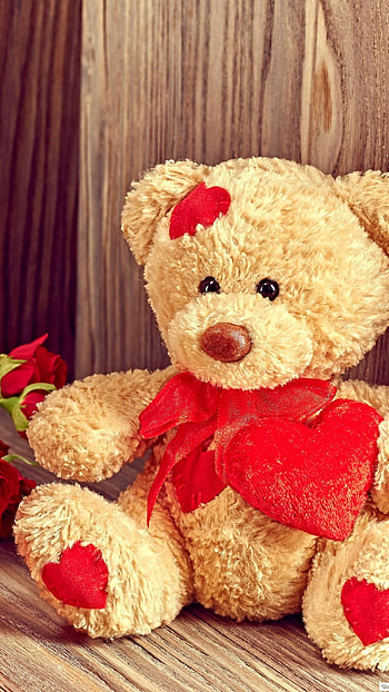 Teddy Bear Live, Toy HD phone wallpaper