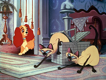 Am, Xi, and Lady, Lady and the Tramp HD wallpaper