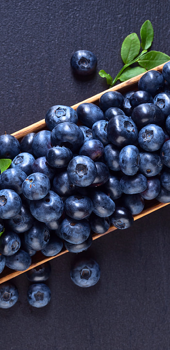 Delicious blueberry treat, Fruity and refreshing, Burst of flavor, Healthy indulgence HD phone wallpaper