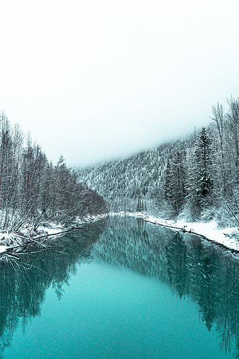 Landscape, Winter, Nature, Rivers, Forest, Snow Covered, Snowbound HD phone wallpaper