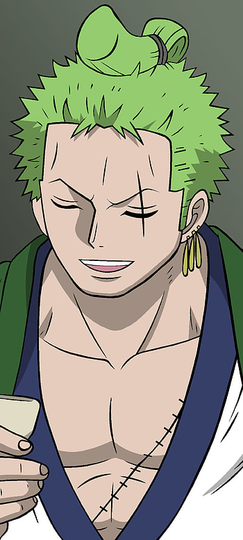 Roronoa Zoro, Anime, One Piece HD phone wallpaper