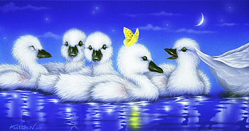 young swans, winter, white, birds, swans HD wallpaper