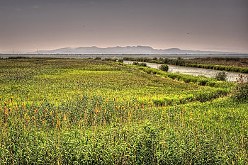Landscape, Nature, Rivers, Grass, Lake, Valencia, Spain HD wallpaper