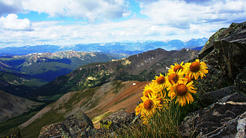 The view from the side of Grays Peak, Colorado, blossoms, summer, clouds, landscape, sky, mountains, usa HD wallpaper