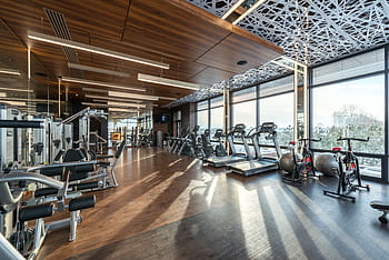 Spacious modern gym with treadmills, exercise bikes, and weights under natural lighting. HD wallpaper