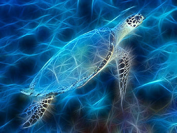 Fractalius Turtle, turtle, fractalius HD wallpaper