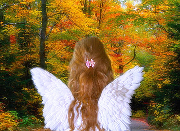 Forest fairy child, fairy, wings, colors, autumn, girl, forest, child HD wallpaper