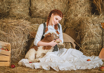 :), model, cowgirl, diana lipkina, hay, redhead, girl, woman, lamb, barn HD wallpaper