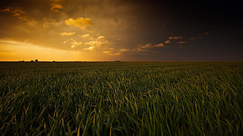 Breathtaking Sunset, sunset, nature, graphy HD wallpaper