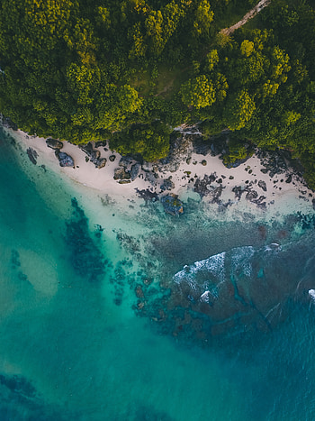 Beach, Nature, Stones, Sand, Ocean, Tropics HD phone wallpaper