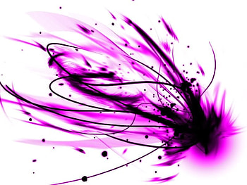 Purple explosion, sunshine, white, black, colors, purple, explosion, abstract, textures, forever HD wallpaper