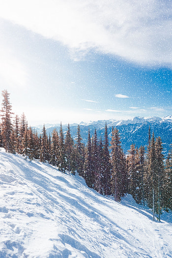 Winter, Nature, Trees, Mountains, Snow, Slope, Snowfall HD phone wallpaper