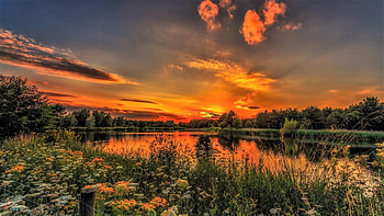 sunset pond, sky, pond, vegetation, sunset HD wallpaper