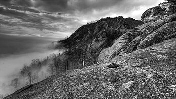 Nature, Trees, Mountains, Rocks, Fog, Black And White HD wallpaper
