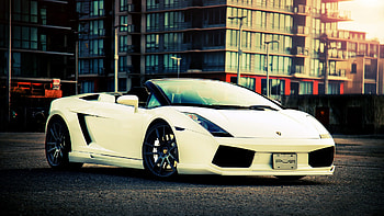 LP 550-2 Spyder, Convertible beauty, Iconic design, Open-top exhilaration HD wallpaper