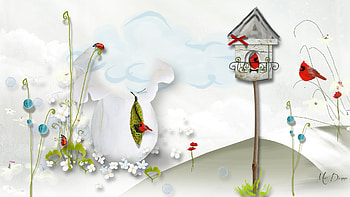 Red Birds, bird house, cardinals, birds, abstract, garden, flowers, nature HD wallpaper