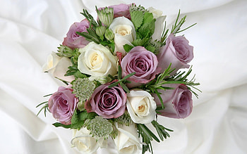 Flowers, Roses, Registration, Typography, Greens, Bouquet, Different HD wallpaper
