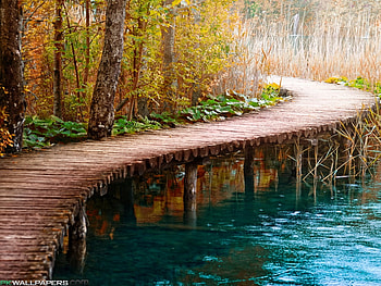 BY THE RIVER, river, nature, forest, path HD wallpaper
