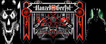 Hanzel und Gretyl, industrial metal, band, Wolfenstein, Call Of Duty HD wallpaper