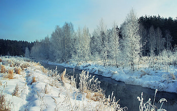 Landscape, Winter, Nature, Rivers, Snow, Shore, Frost, Hoarfrost, Shores HD wallpaper