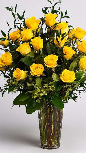 Yellow Rose, Flower HD phone wallpaper