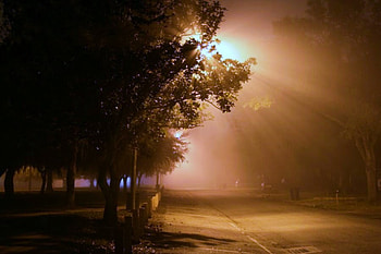 Night, quiet, light, street, misty, dark HD wallpaper