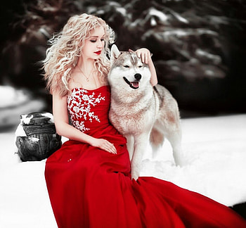 lady, model, graphy, beauty HD wallpaper