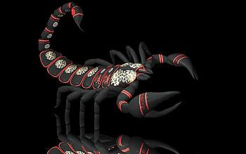 ... scorpio wide artwork cool ... HD wallpaper