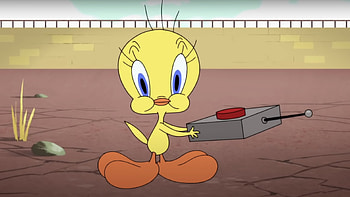 Looney Tunes Tweety Bird, Animation, Life in HD wallpaper
