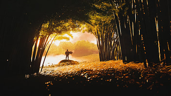 Ghost Of Tsushima 2025 Game, ghost-of-tsushima, 2025-games, ps5-games, ps4-games, xbox-one-games, xbox-games, pc-games, games, video-games HD wallpaper