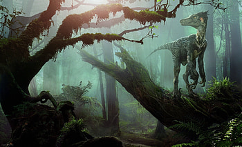 Velociraptor, Ancient animals, Dinosaur , Prehistoric creatures HD wallpaper