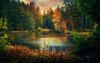 Pond Gruyere, Switzerland, forest, sunset, autumn, trees, clouds, sky, water HD wallpaper