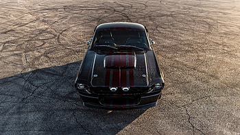 Ford Mustang Shelby Gt 500 Carbon , ford-mustang, shelby, cars HD wallpaper