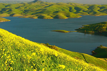 Irish Landscape, field, other, nature, flowers, mountains, water, lake HD wallpaper