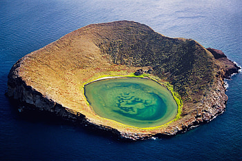 Galapagos Islands, Conservation efforts, GMO rats, Wired magazine HD wallpaper