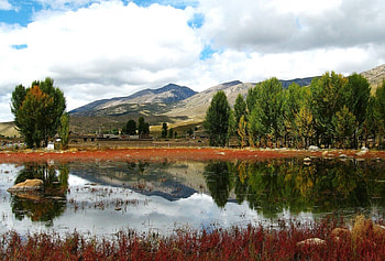 BELA PAISAGEM, avores, lago, natureza, agua HD wallpaper