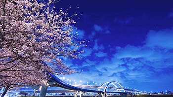 Cities, Sakura, Bridge, Japan, Hokkaido HD wallpaper