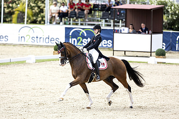 Flat racing, Equestrian Sports HD wallpaper