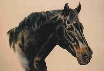 Thoroughbred, horses, painting, animals, equine art, david magnes HD wallpaper