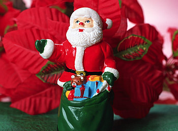 Holidays, Flowers, Santa Claus, Christmas, Toy, Bag, Sack HD wallpaper