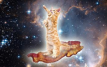 Abstract, Sky, Stars, Cat HD wallpaper