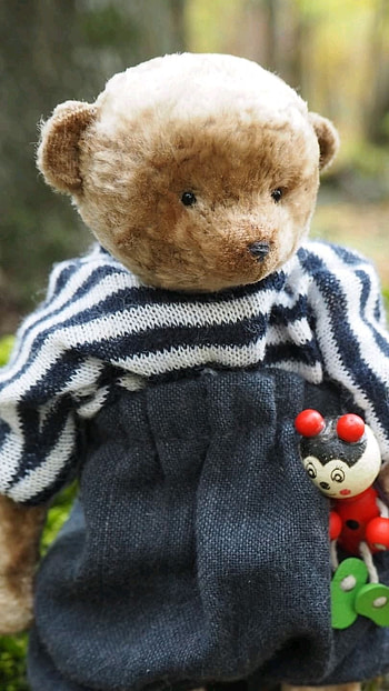 Teddy Bear Ke, Cute Dressing, nature background HD phone wallpaper